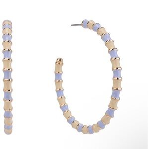 Isaac Mizrahi Enamel Post Hoop Earrings